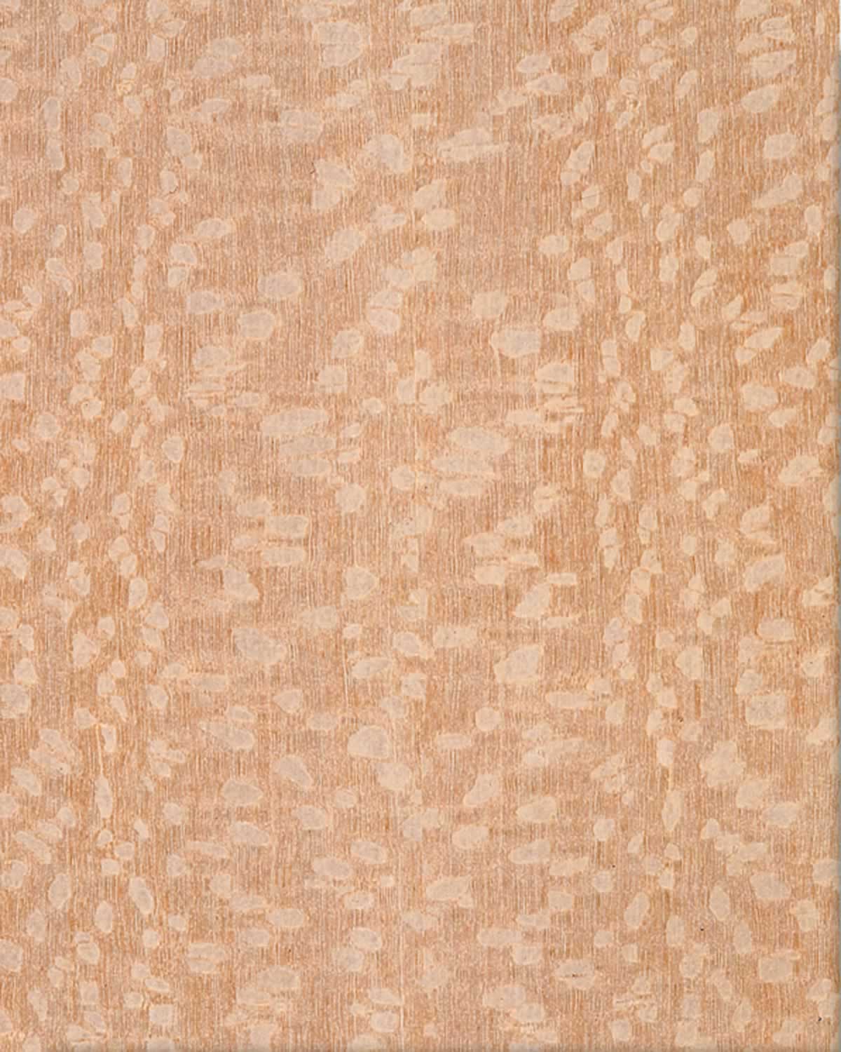 SanFoot Bleached Lacewood QC SanFoot Bleached Lacewood QC