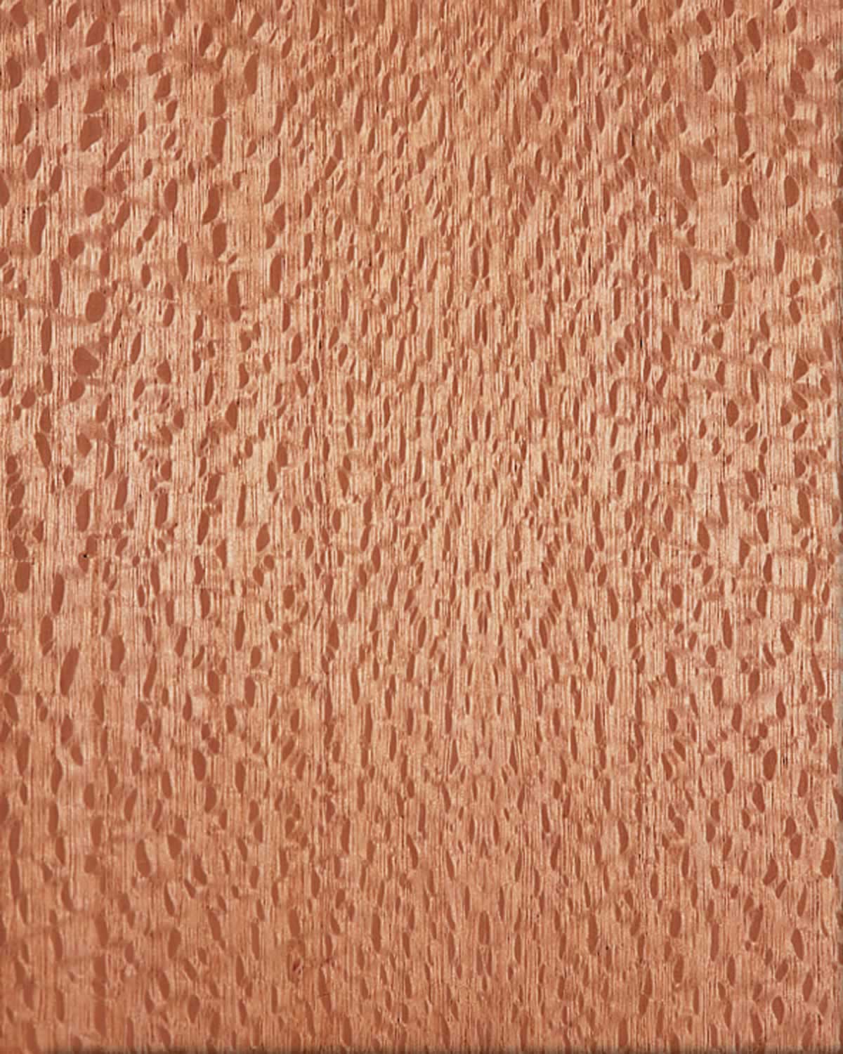 Ambienta Architectural Solutions Wood