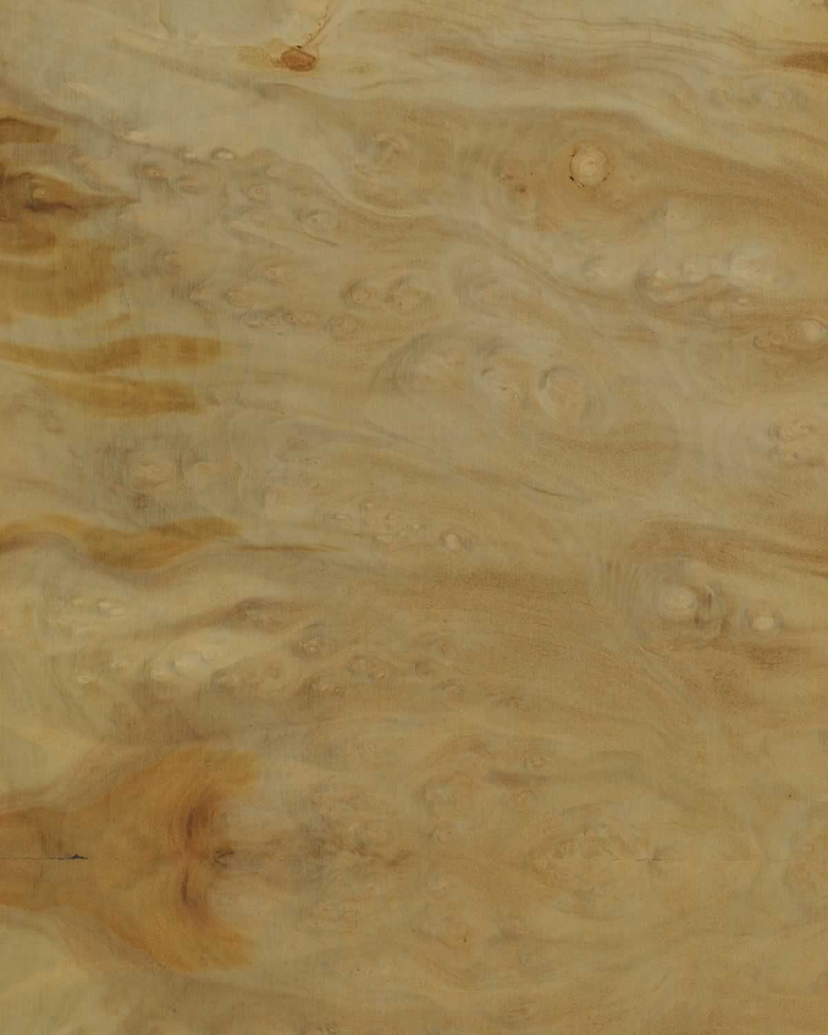 SanFoot Laurel Burl