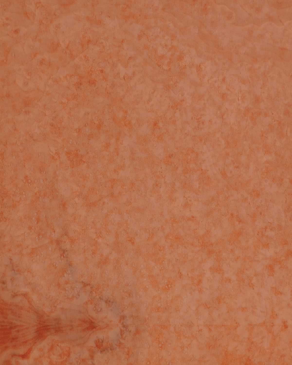 SanFoot Madrone Burl