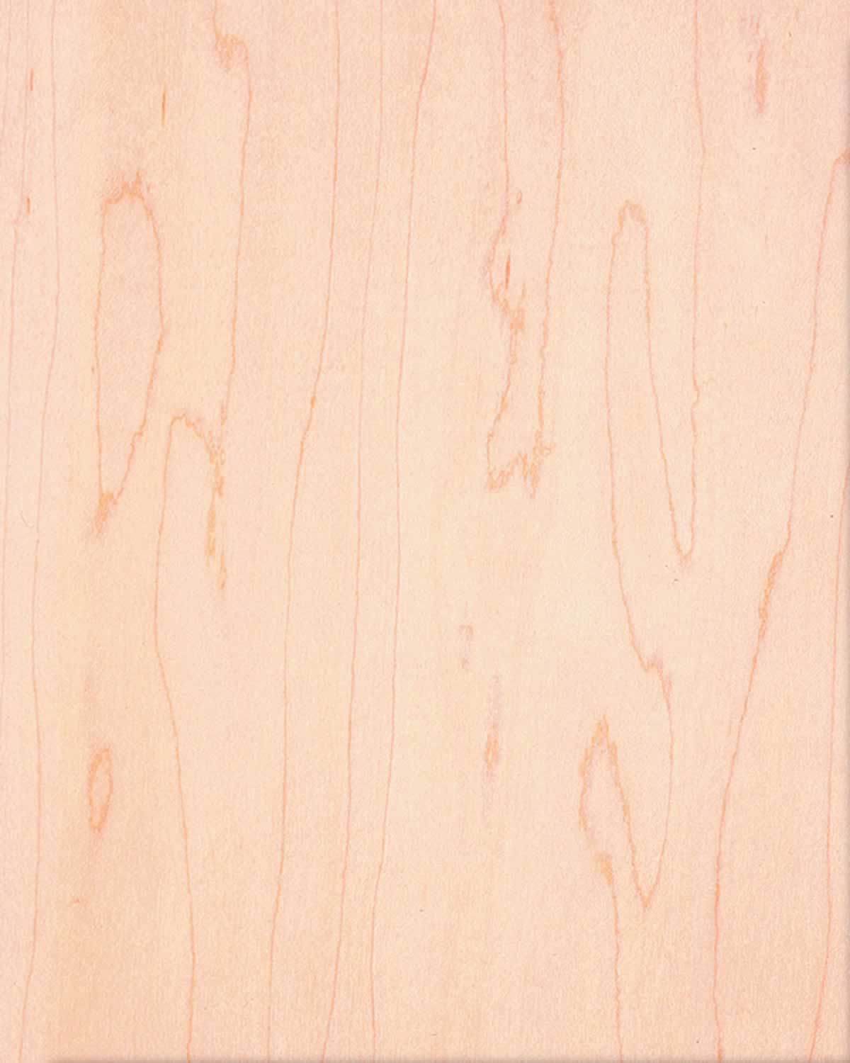 SanFoot Maple RC SanFoot RC