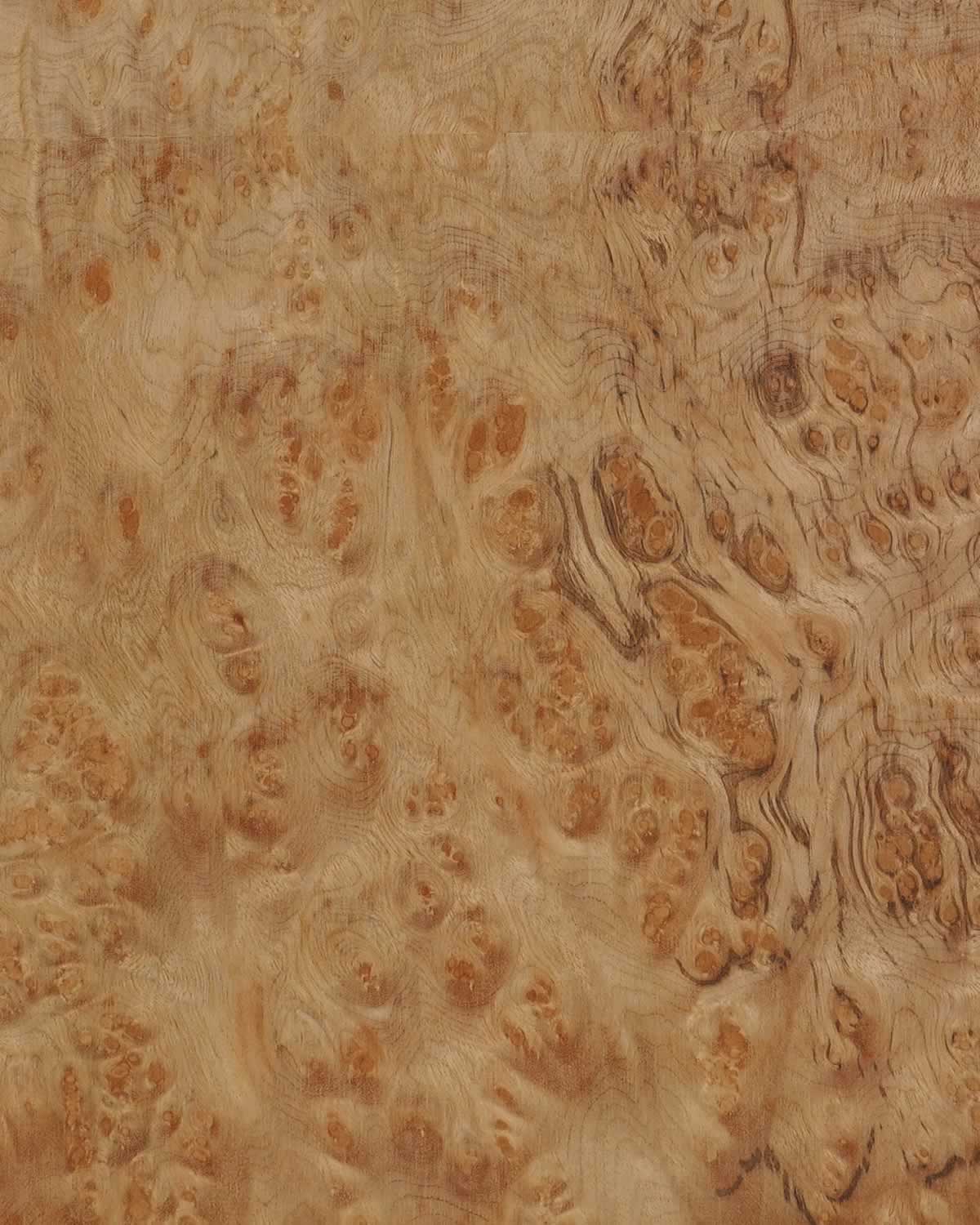 SanFoot Marblewood Burl