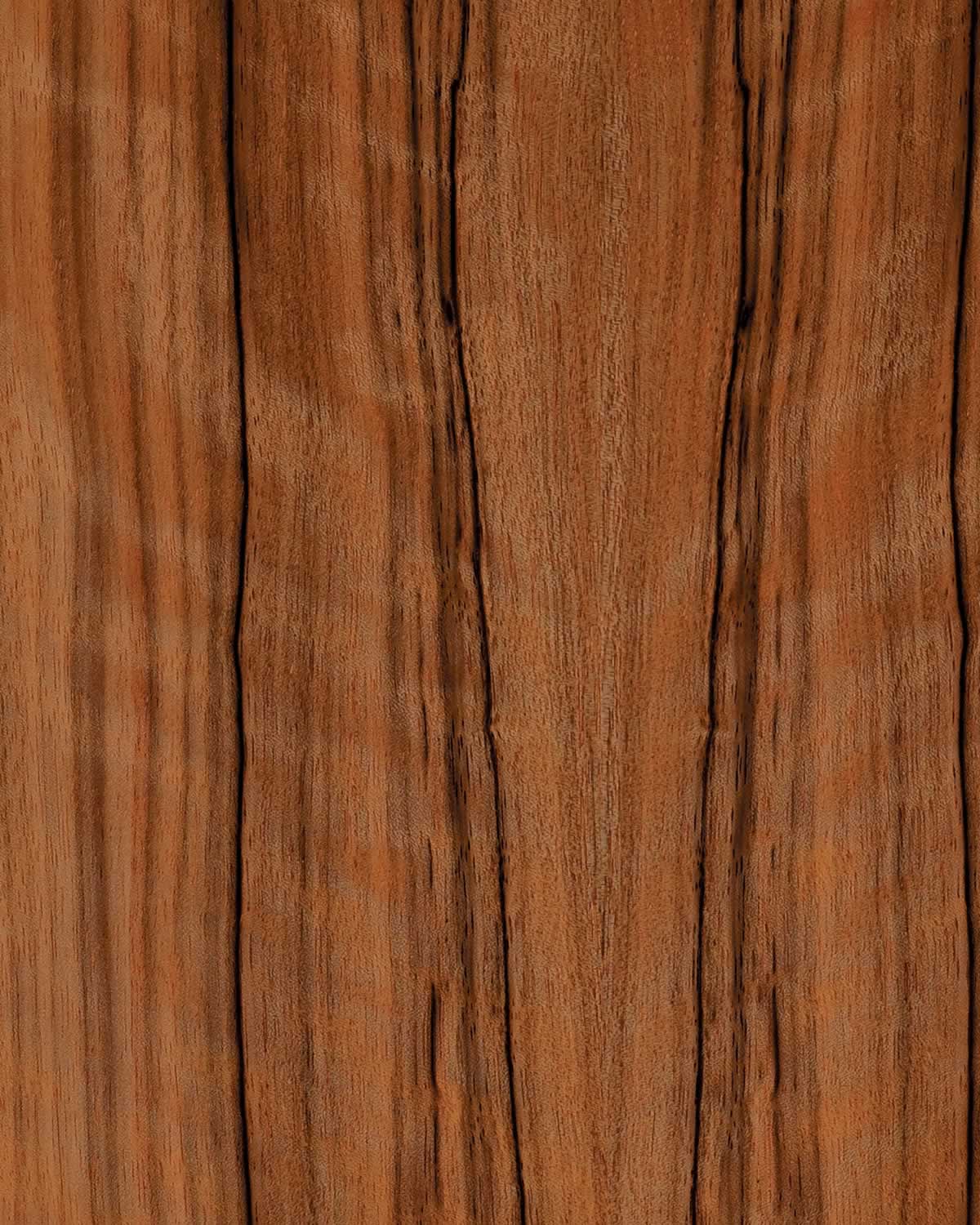 SanFoot Paldao Figured QC