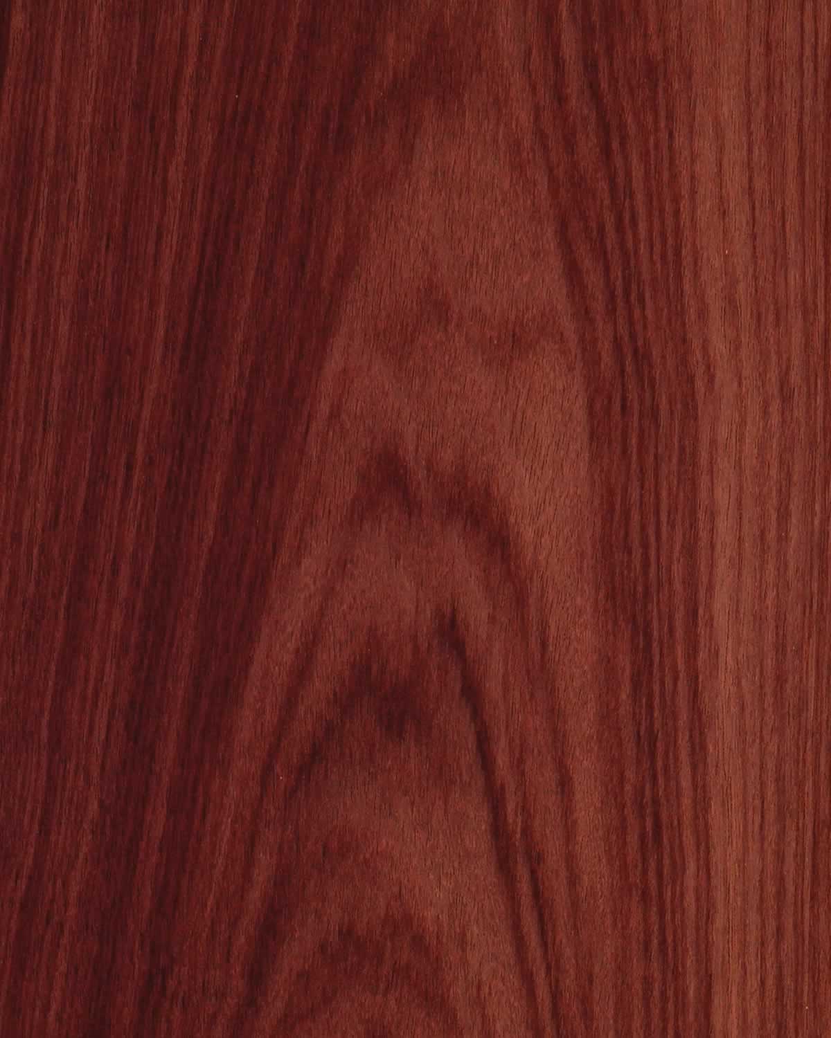 SanFoot Rosewood East Indian FC SanFoot Rosewood East Indian FC