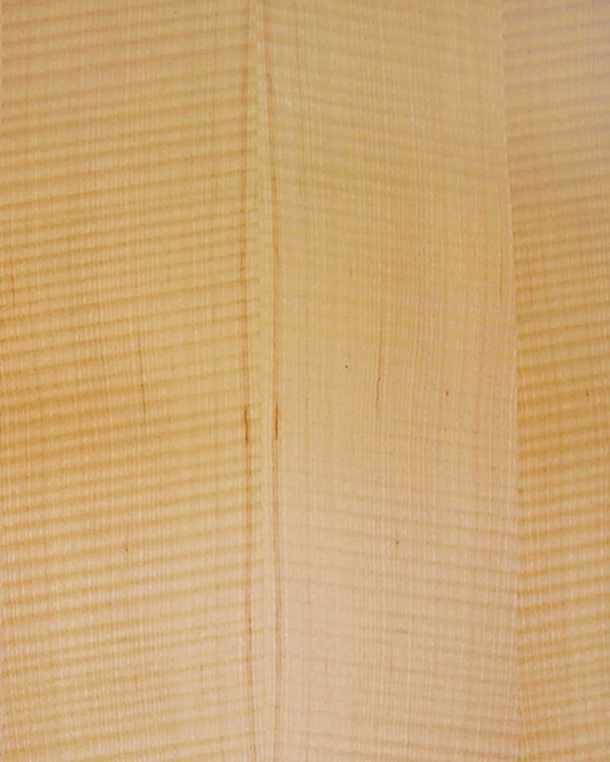 SanFoot Sycamore RealTec QC